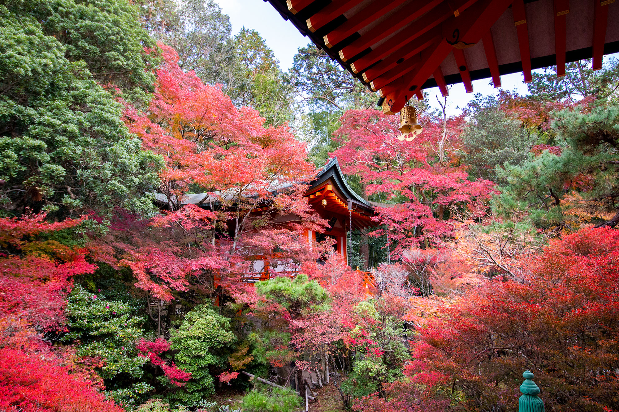 京都の紅葉穴場スポットの毘沙門堂