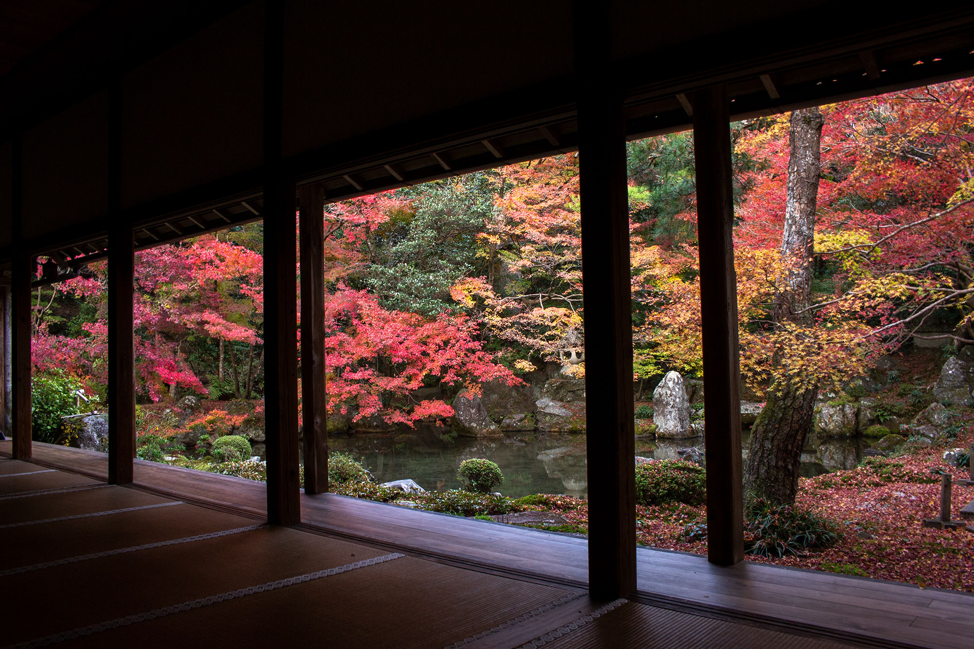 京都の紅葉穴場スポットの蓮華寺