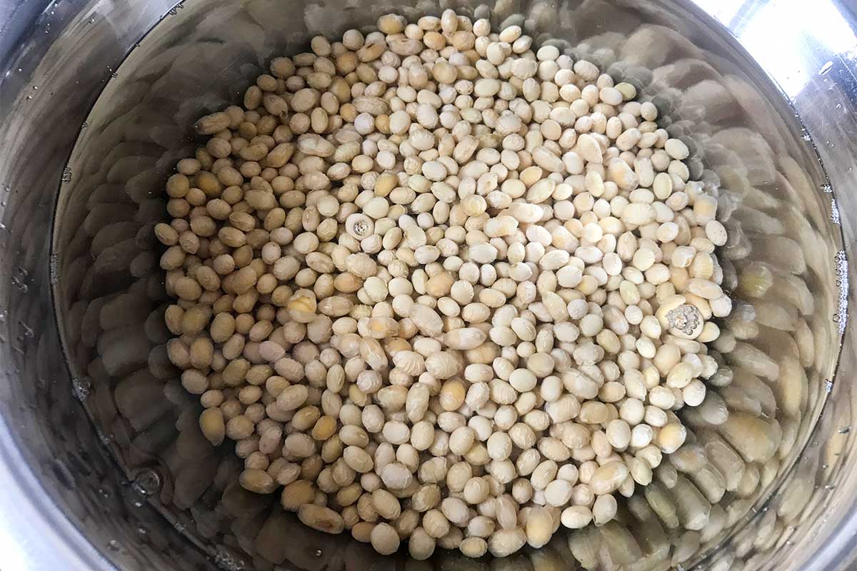 海外で作る納豆を水で戻すところ
