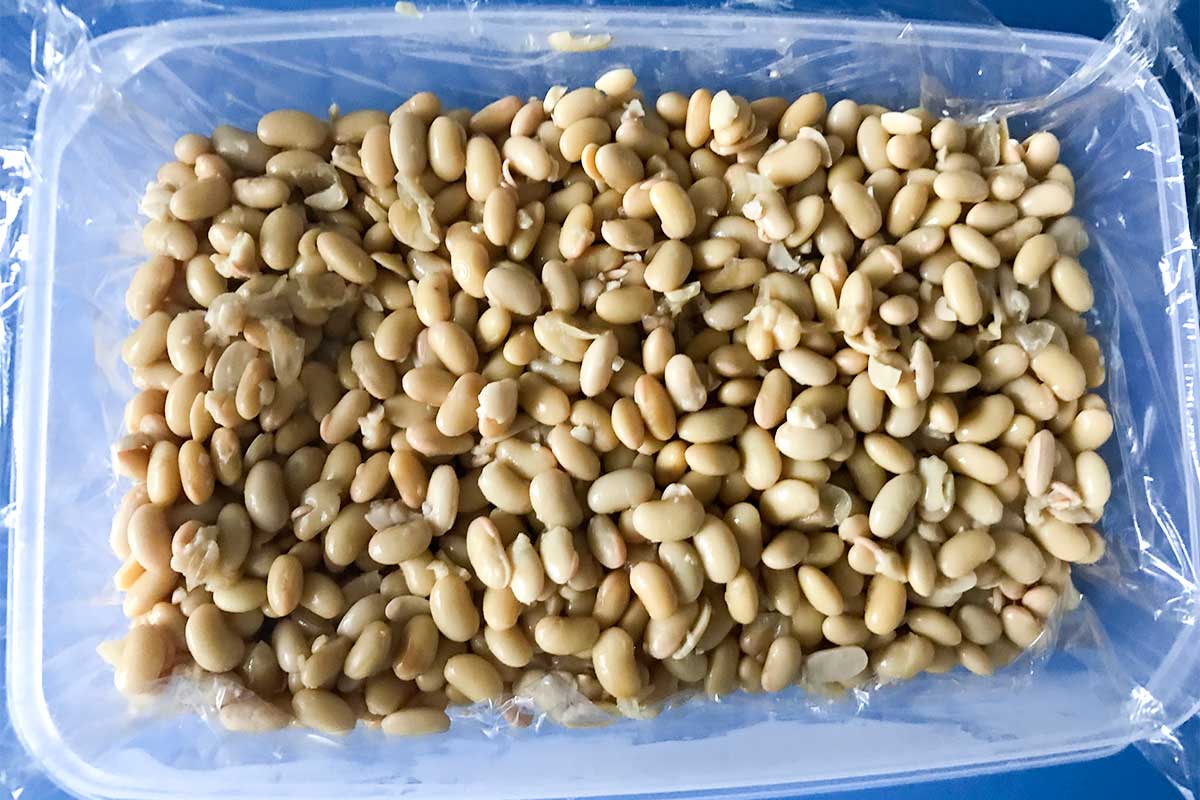 海外で作る納豆を発酵させるところ