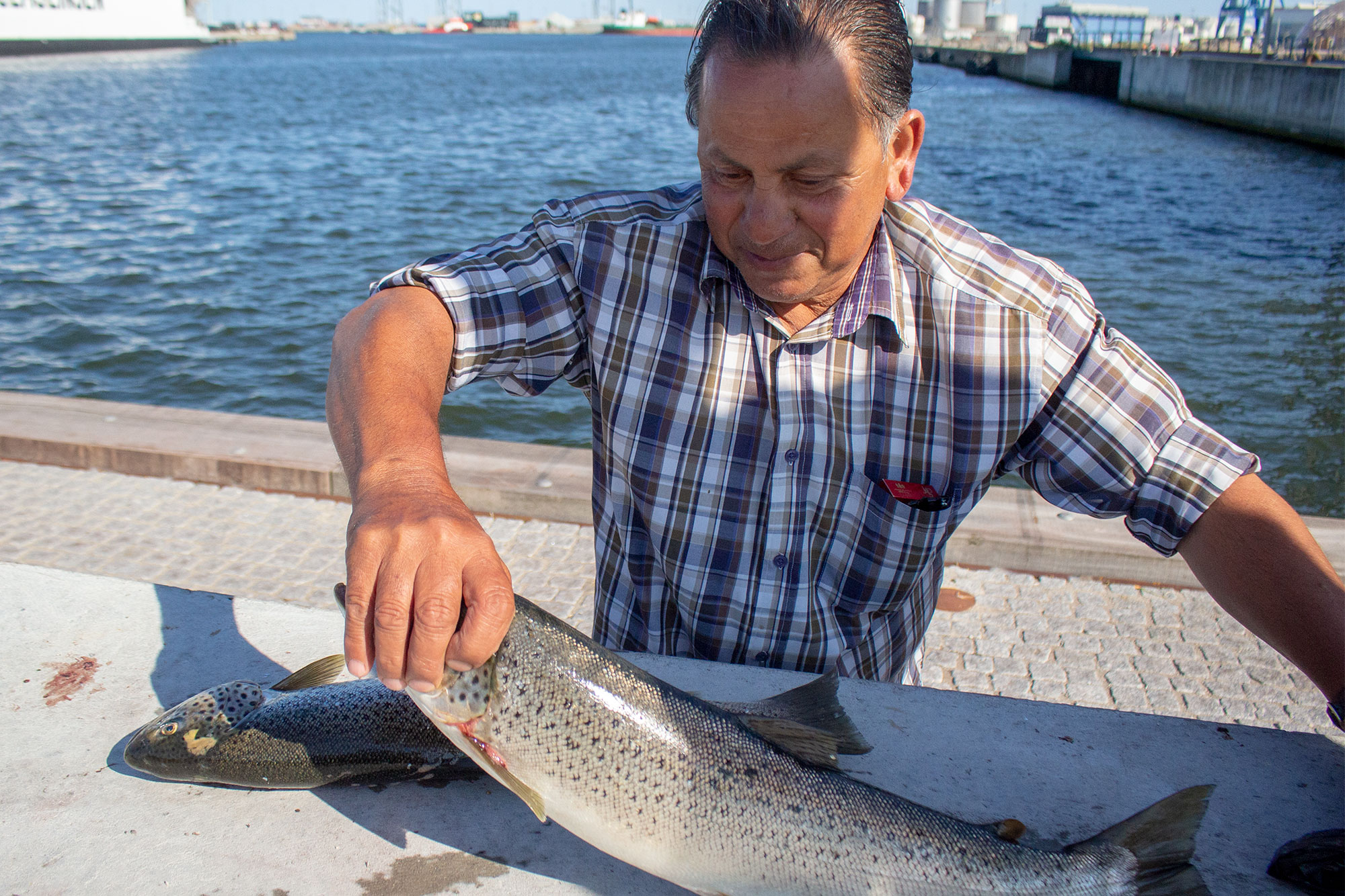 デンマーク第二都市オーフスで釣りをする男性
